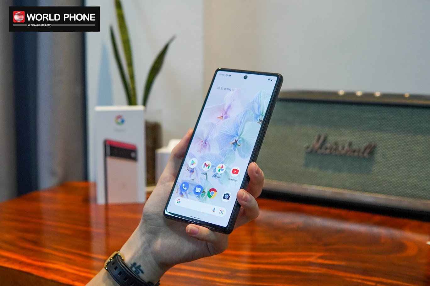 Google Pixel 6 giá bao nhiêu?