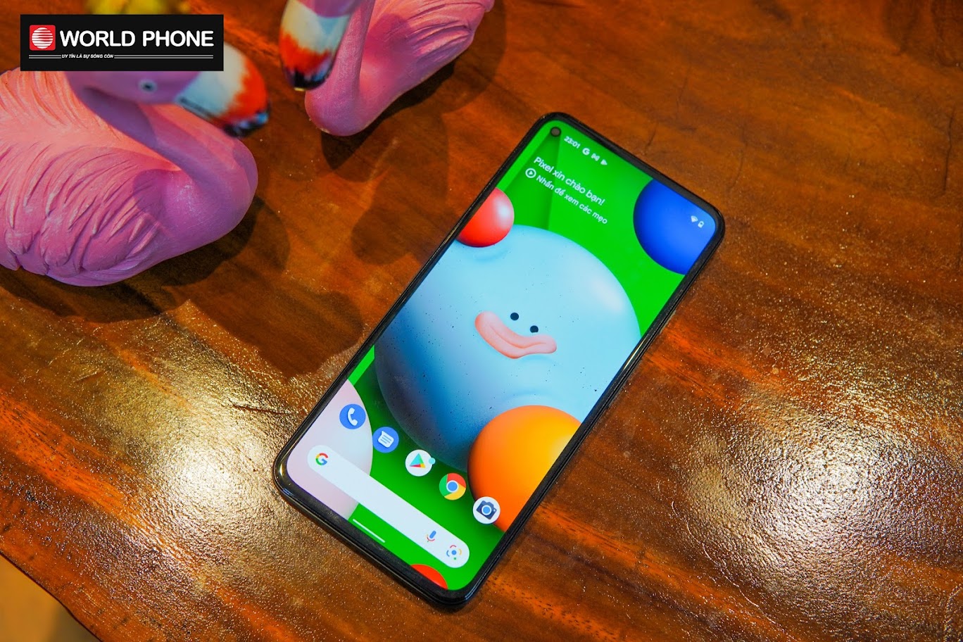 Màn hình OLED tràn viền lớn nhất từ trước đến nay của Google Pixel được trang bị trên Pixel 5a 5G