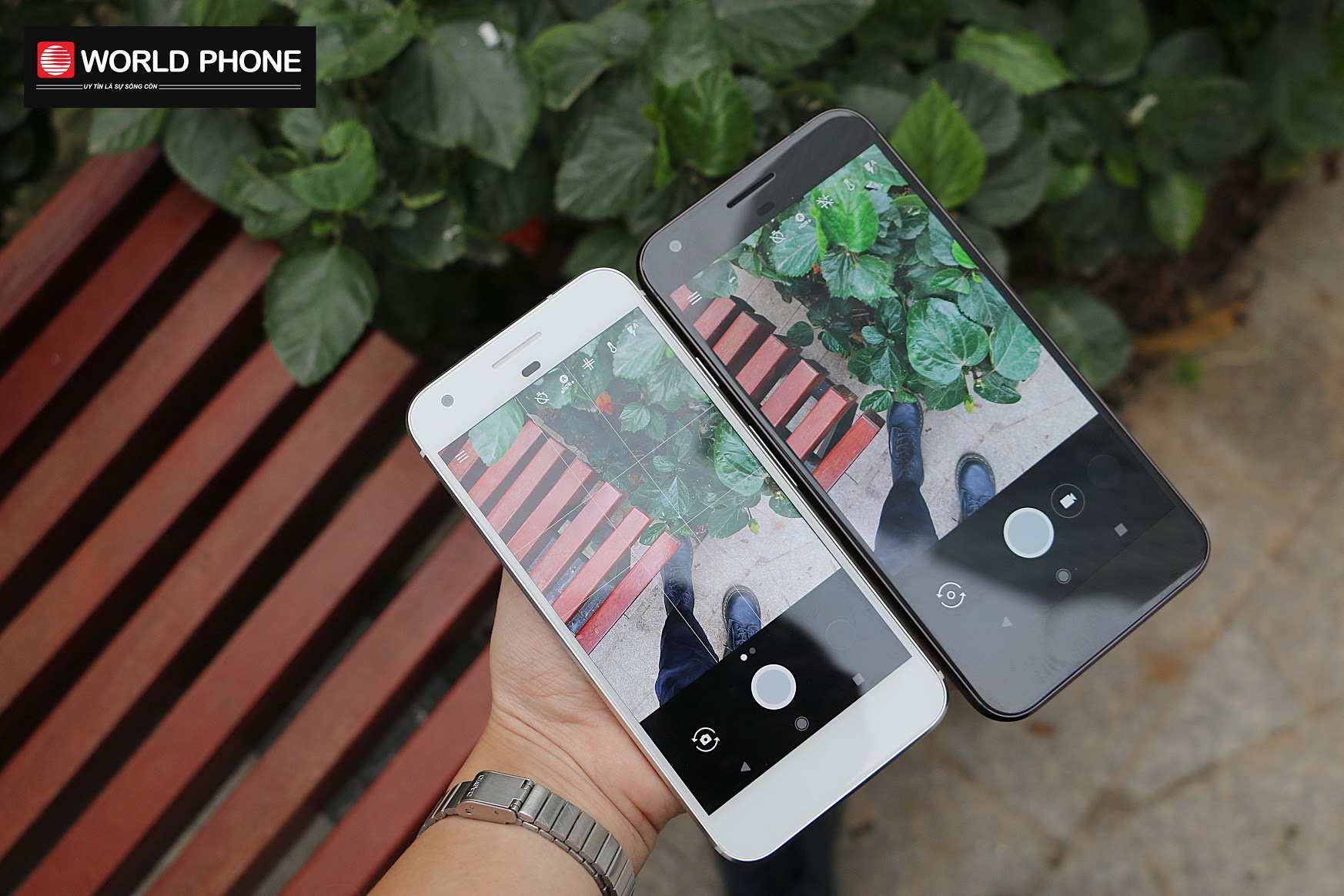 Camera của Pixel và Pixel XL không có gì khác biệt