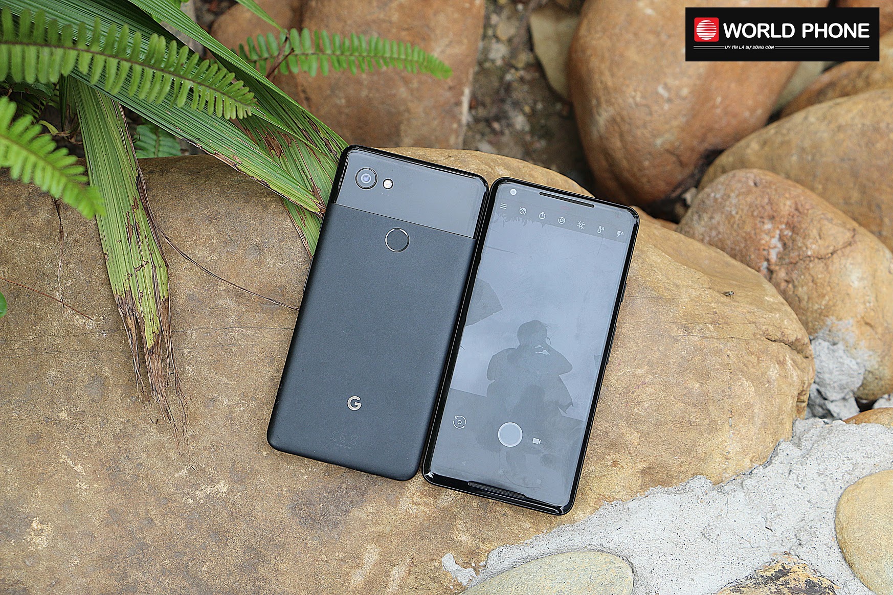 Thiết kế của Pixel 2 XL thanh thoát với viền bezel được làm mỏng và các góc cạnh của màn hình cũng được bo cong mềm mại 