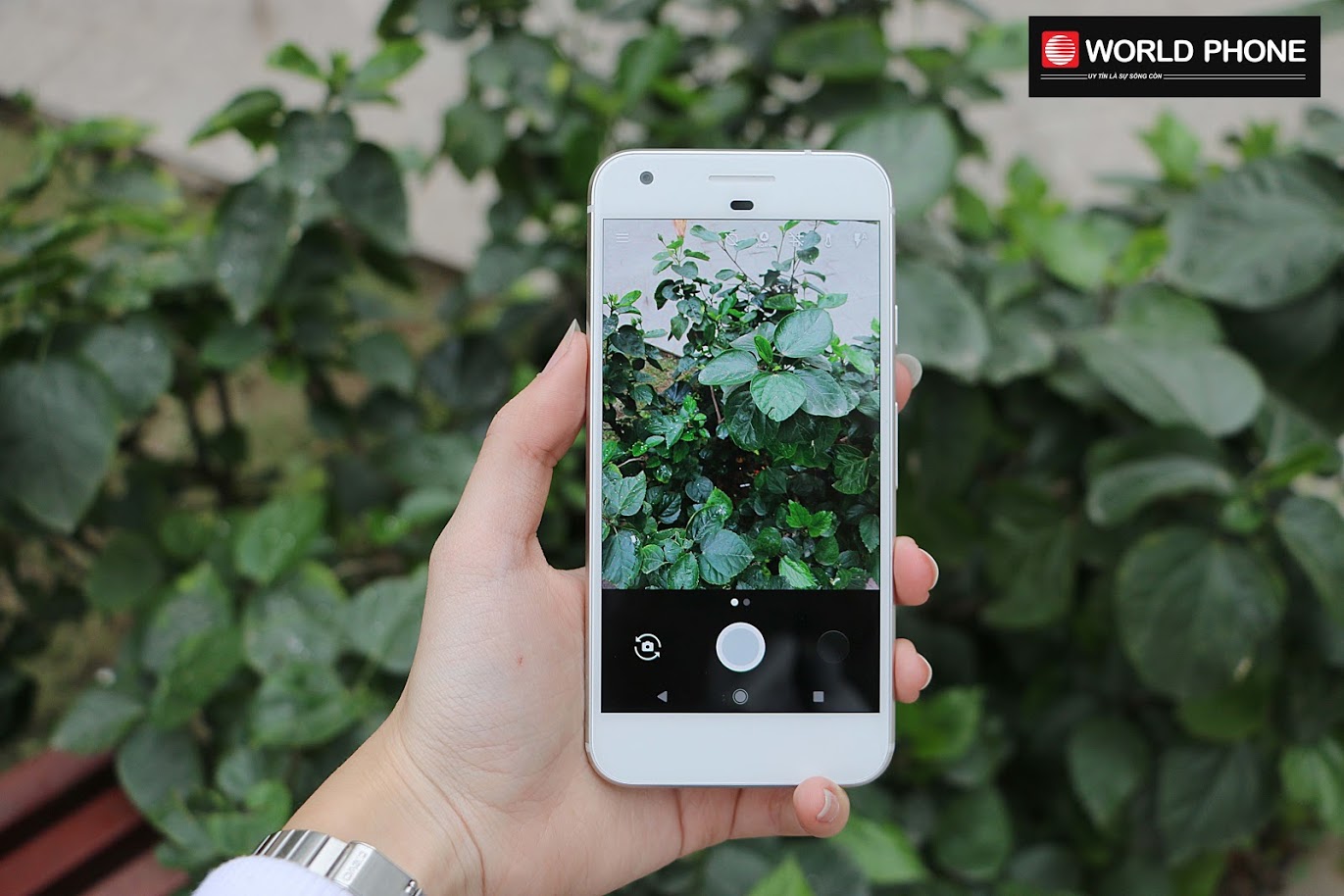 Camera sau cực kỳ ấn tượng của Google Pixel