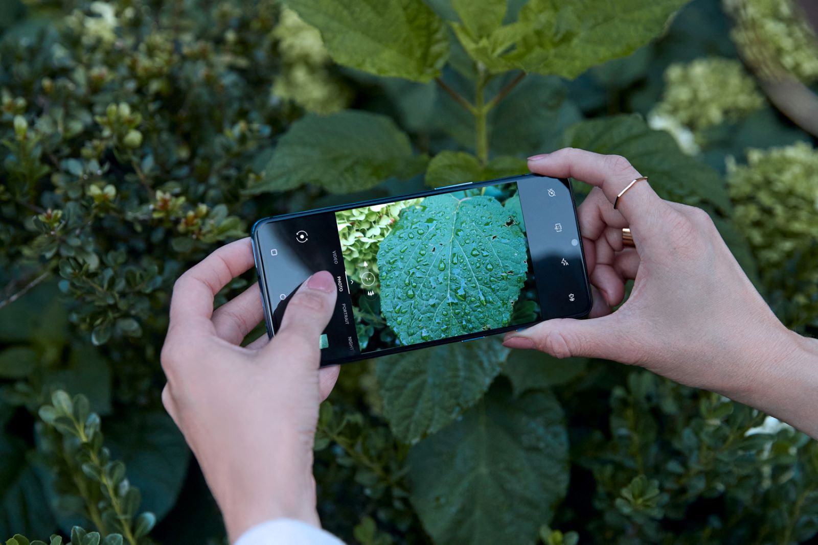 So sánh camera Pixel 4a Vs Pixel 5a