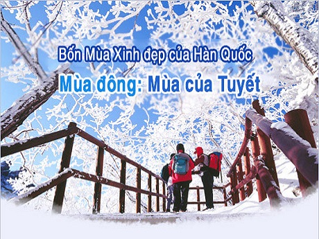 DU LỊCH HÀN QUỐC THÁNG 12 ( MÙA ĐÔNG TẠI ĐẤT NƯỚC HÀN QUỐC )