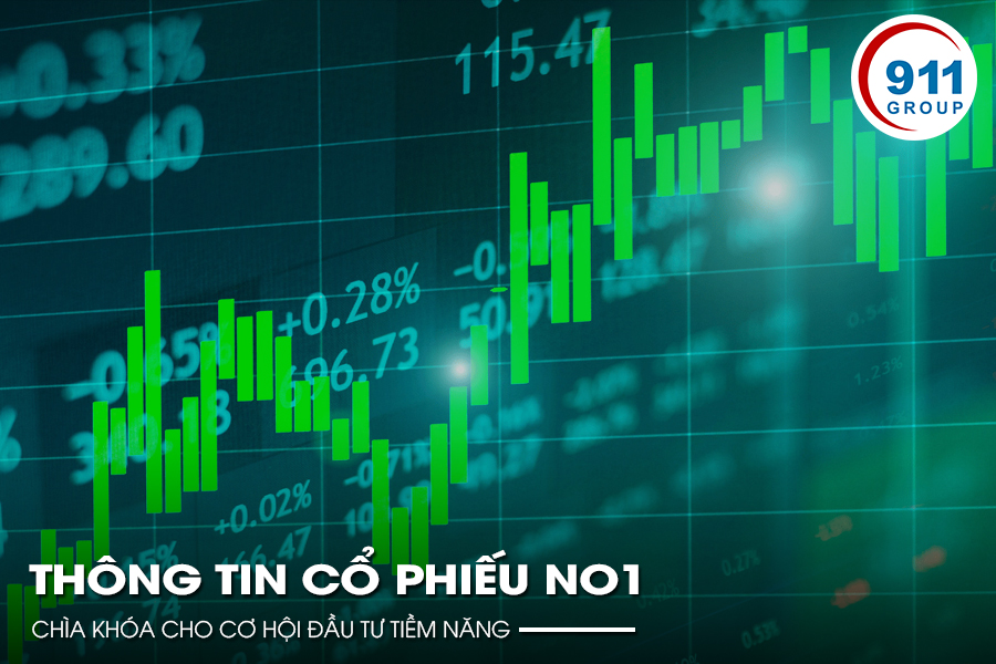 Thông Tin Cổ Phiếu NO1: Chìa Khóa Cho Cơ Hội Đầu Tư Tiềm Năng