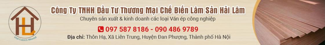 VÁN ÉP CÔNG NGHIỆP - GIÀN GIÁO RING LOCK HẢI LÂM :  0904.869.789