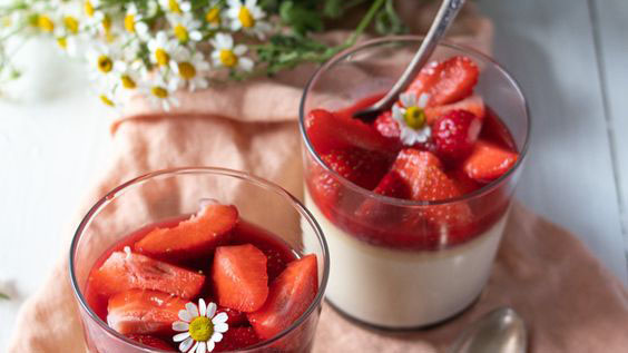 PANACOTTA