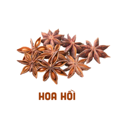 Hoa Hồi