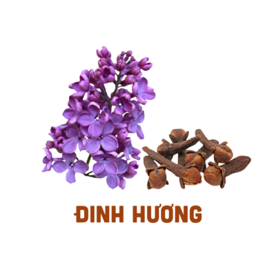 Đinh Hương