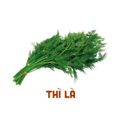 Thì Là