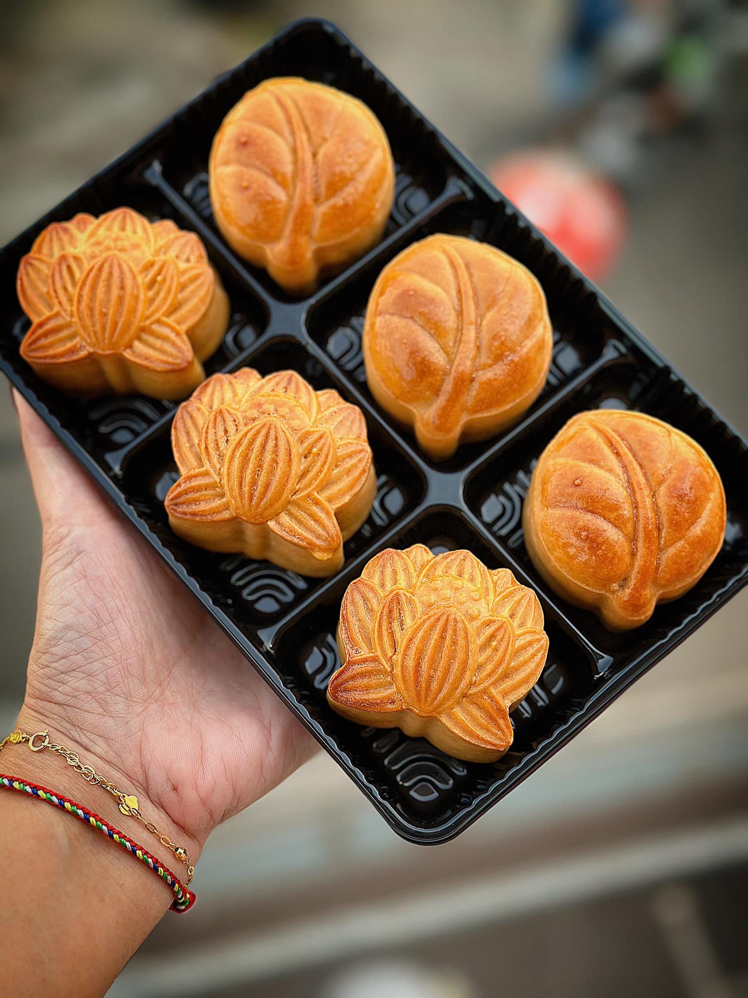 Hộp nhựa đế đen 6 ngăn (Có 4 mẫu)