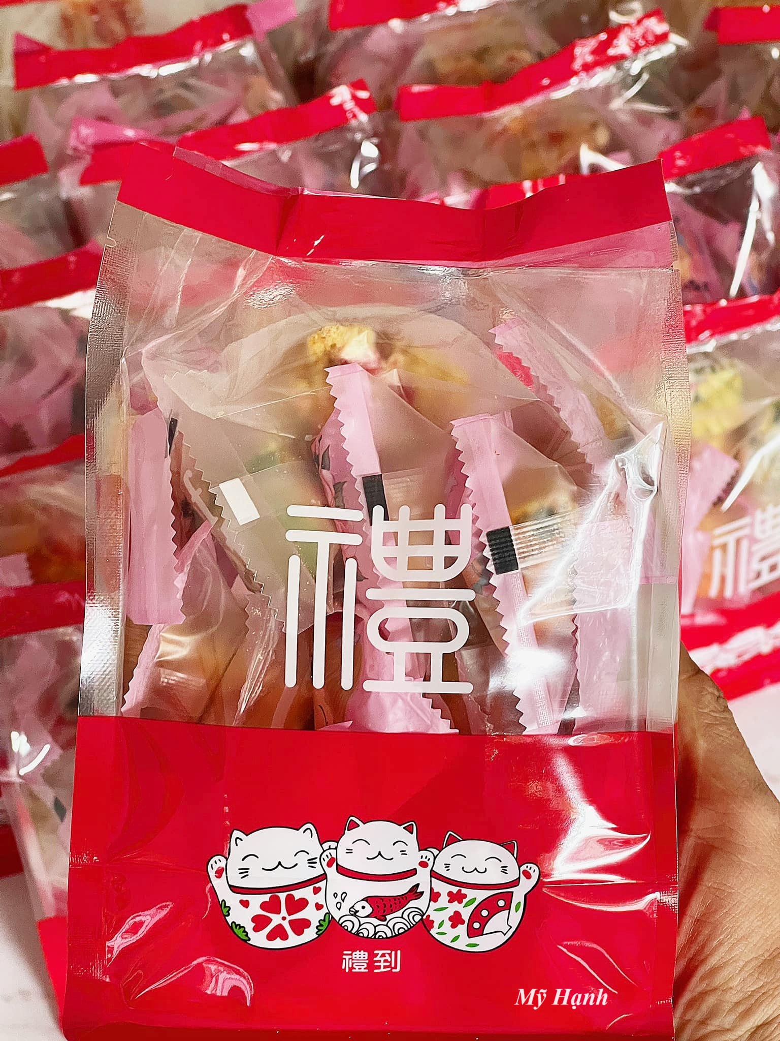 Túi hàn Mèo May Mắn