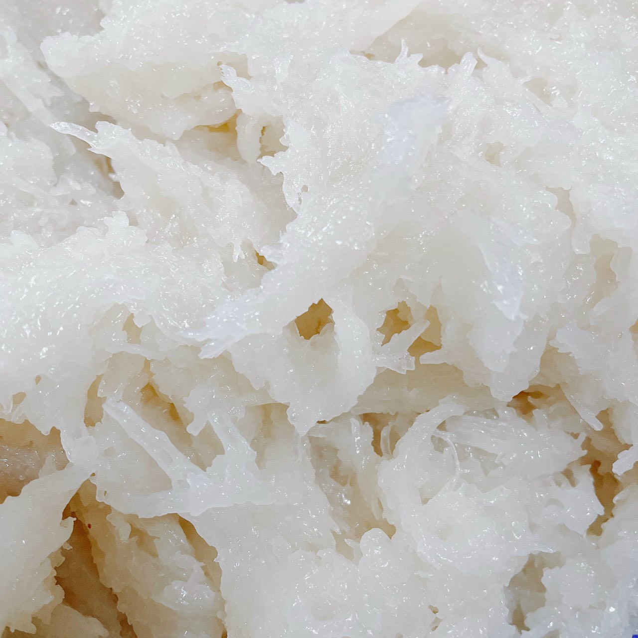Nhân Trung Thu Dừa Sợi Non Phú Thương Food 1kg