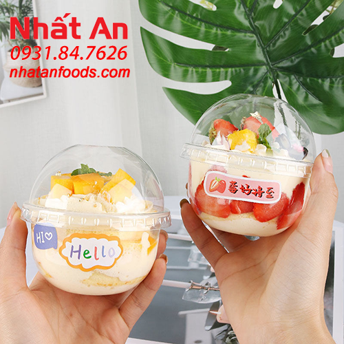 Hộp nhựa dẻo trong PP95 - 250U