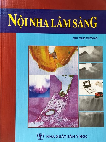 sach-noi-nha-lam-sang