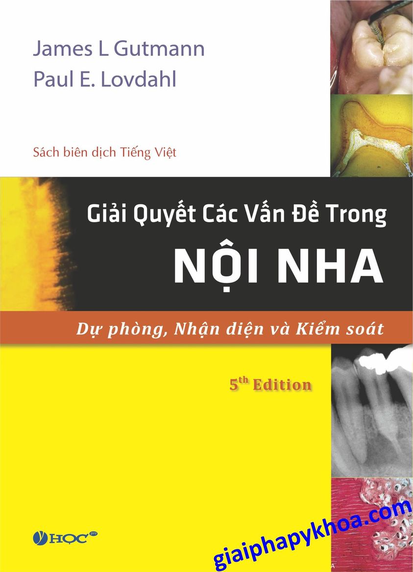 Sách giải quyết các vấn đề trong Nội Nha <sách tiếng Việt>