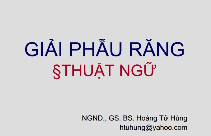 Sách giải phẫu răng và thuật ngữ - bs hoàng tử hùng