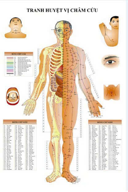 Tranh decan dán bóng. Tranh huyệt vị châm cứu.