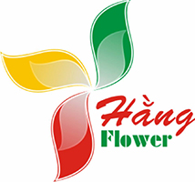 Hằng's Flower - Hoa Tươi Vĩnh Long