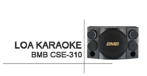 loa-bmb-cse-310-se-chinh-hang-7