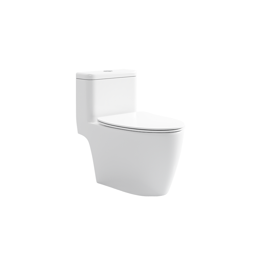 BC 8061 - One Piece Toilet