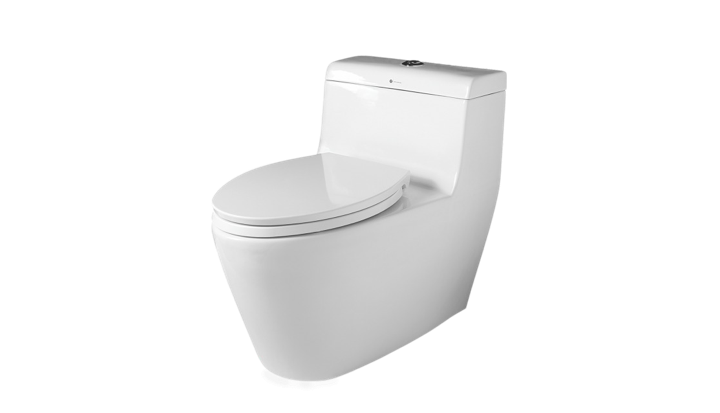 BC 809 - One Piece Toilet