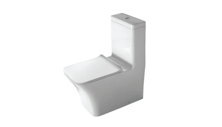 BC 819 - One Piece Toilet