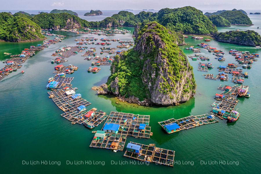 Tour Hạ Long 3N2Đ