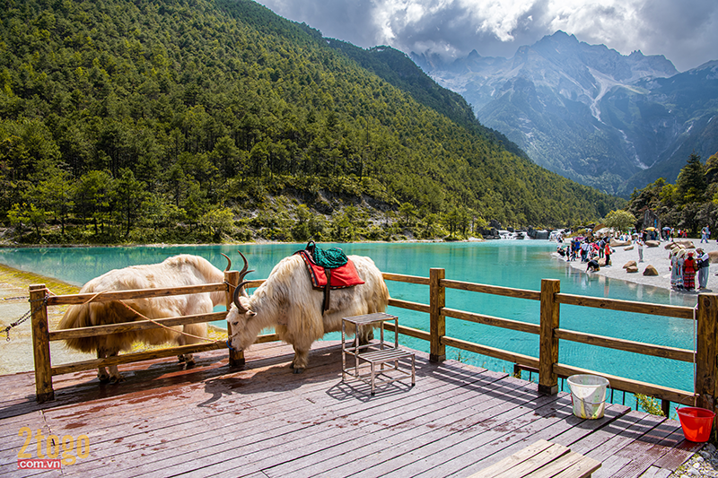 HÀ NỘI - CÁT BI- LỆ GIANG- SHANGRILA- ĐẠI LÝ - CÁT BI – HÀ NỘI 6N5Đ