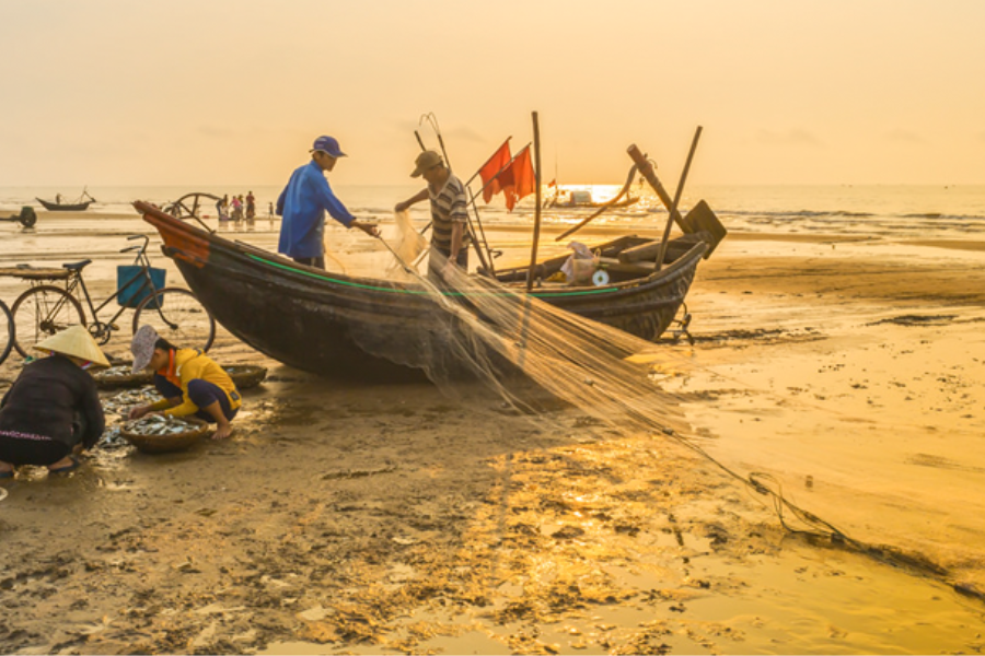 TOUR SẦM SƠN 3N2Đ