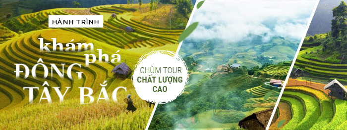 Du Lịch Hà Long