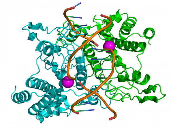 Káº¿t quáº£ hÃ¬nh áº£nh cho cáº¥u trÃºc Enzyme