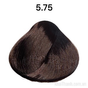 Nhuộm Divasea 100ml