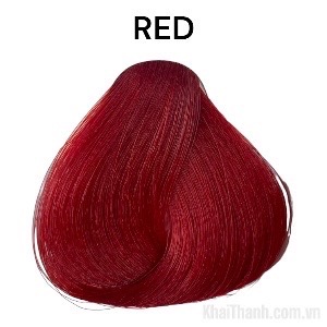 Nhuộm BinGo Care 100ml