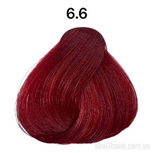 Nhuộm BinGo Care 100ml