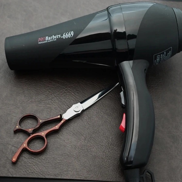 Máy Sấy Pro-Babers 6669