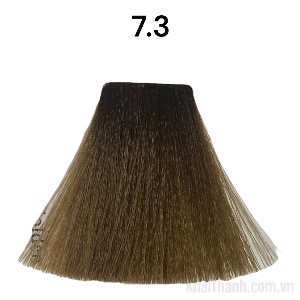 Nhuộm Bolithe 100ml