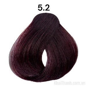 Nhuộm BinGo Care 100ml