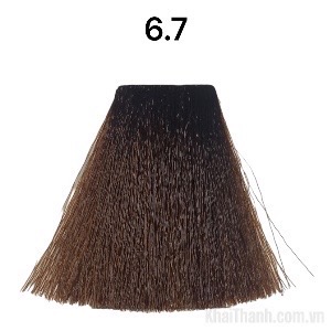 Nhuộm Bolithe 100ml