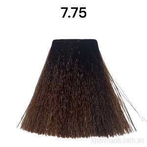 Nhuộm Bolithe 100ml