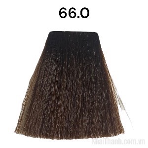 Nhuộm Bolithe 100ml