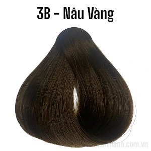 Nhuộm Salon De Pro