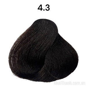 Nhuộm BinGo Care 100ml