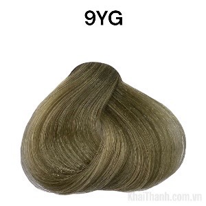 Nhuộm BinGo Care 100ml