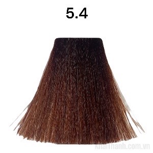 Nhuộm Bolithe 100ml