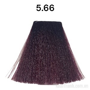 Nhuộm Bolithe 100ml