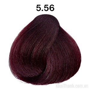 Nhuộm BinGo Care 100ml