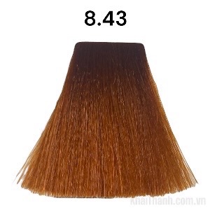 Nhuộm Bolithe 100ml