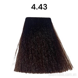 Nhuộm Bolithe 100ml