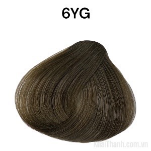 Nhuộm BinGo Care 100ml