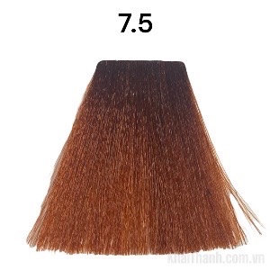 Nhuộm Bolithe 100ml